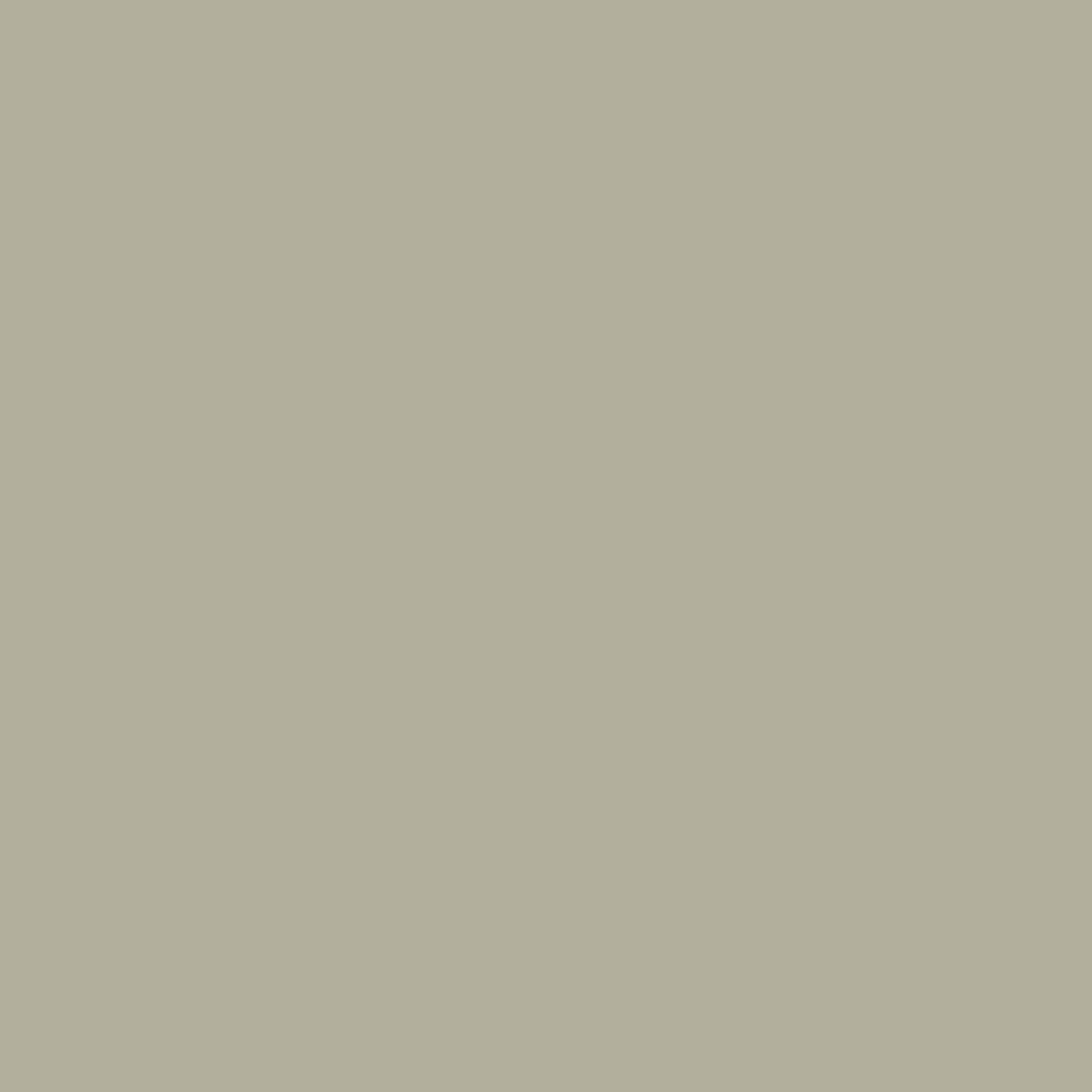 Khaki-khaki
