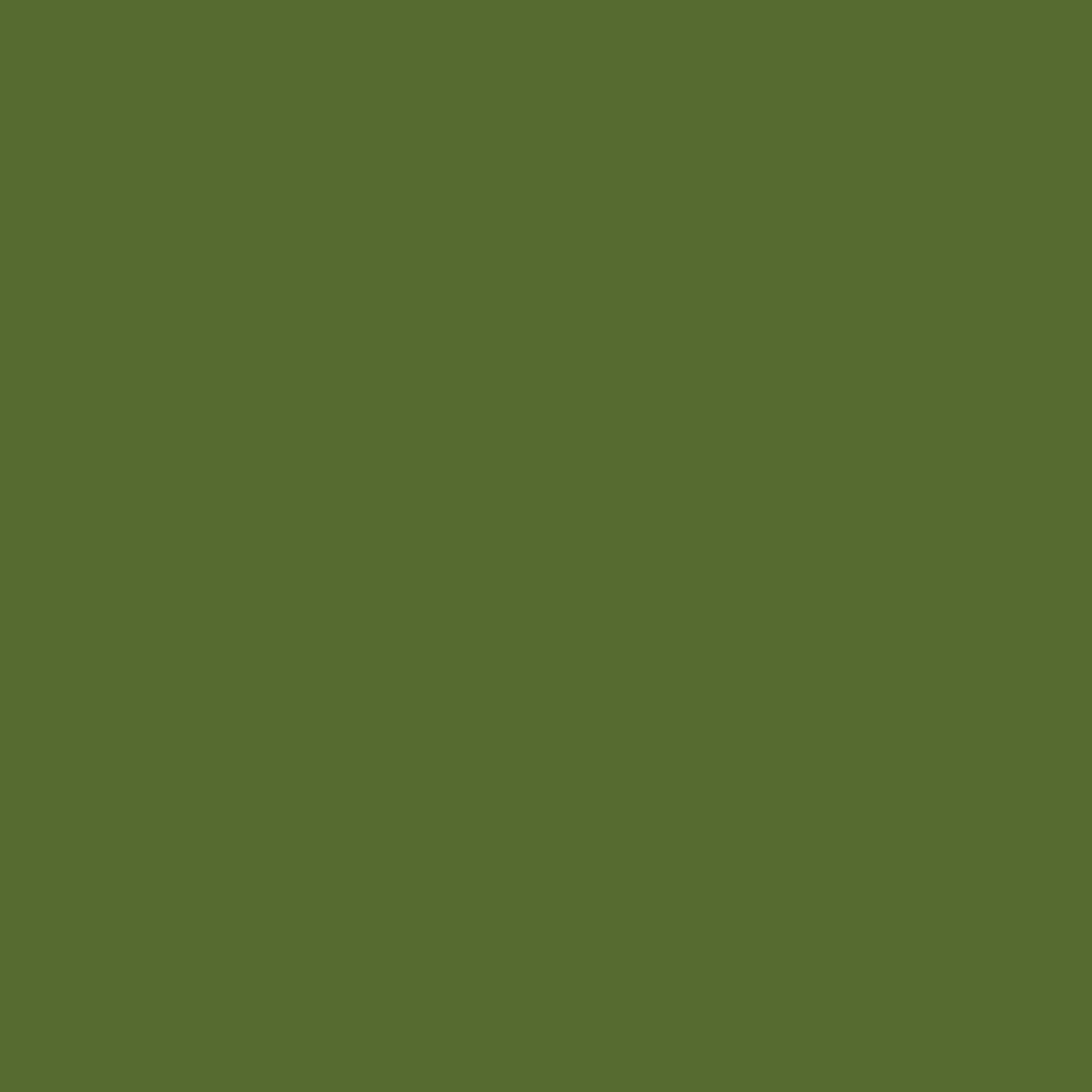 Olive-schwarz