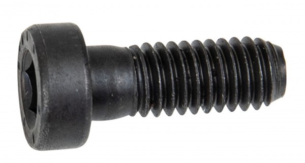Forstreich Zylinderkopfschraube M6 x 16 für TR 30 AQ