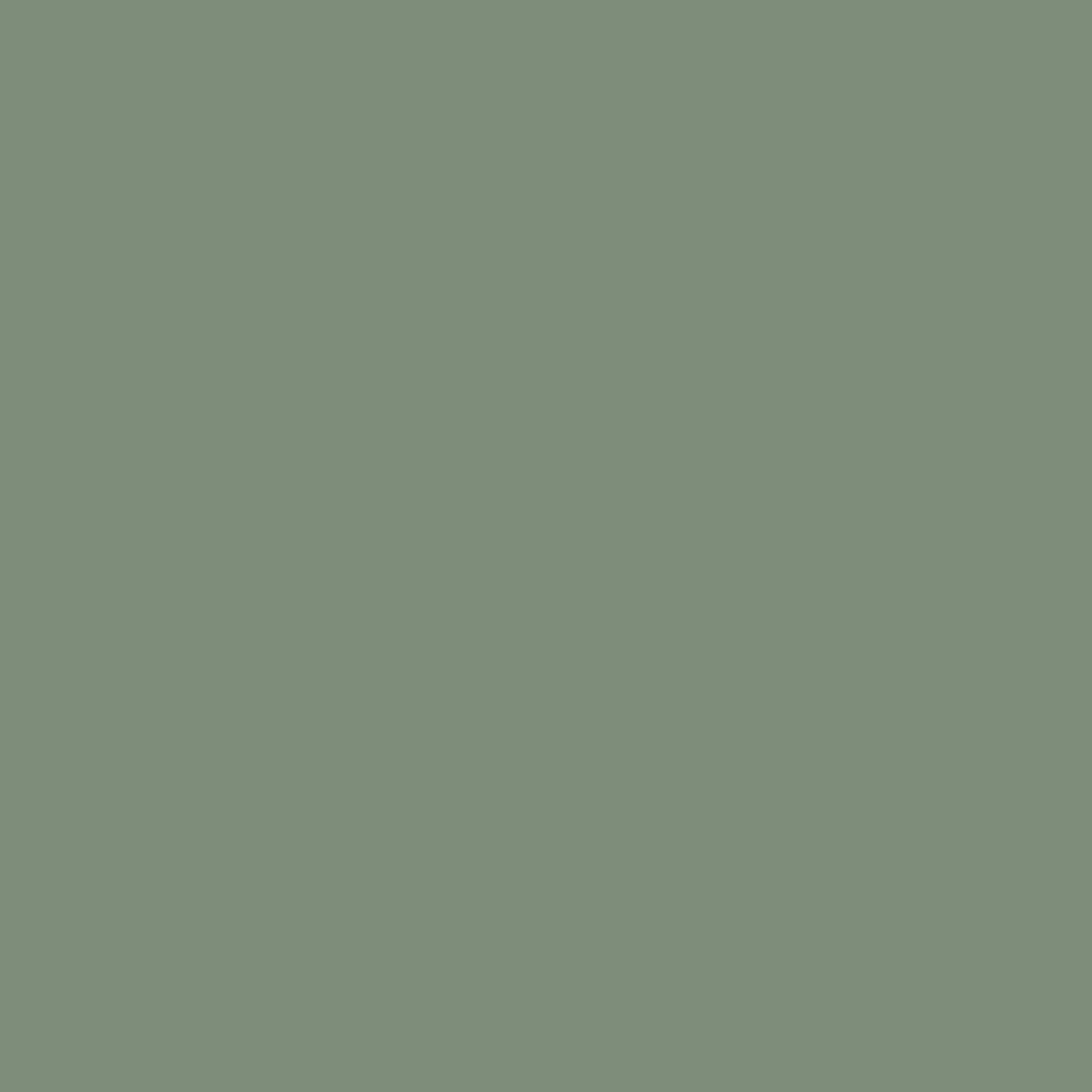 Light loden
