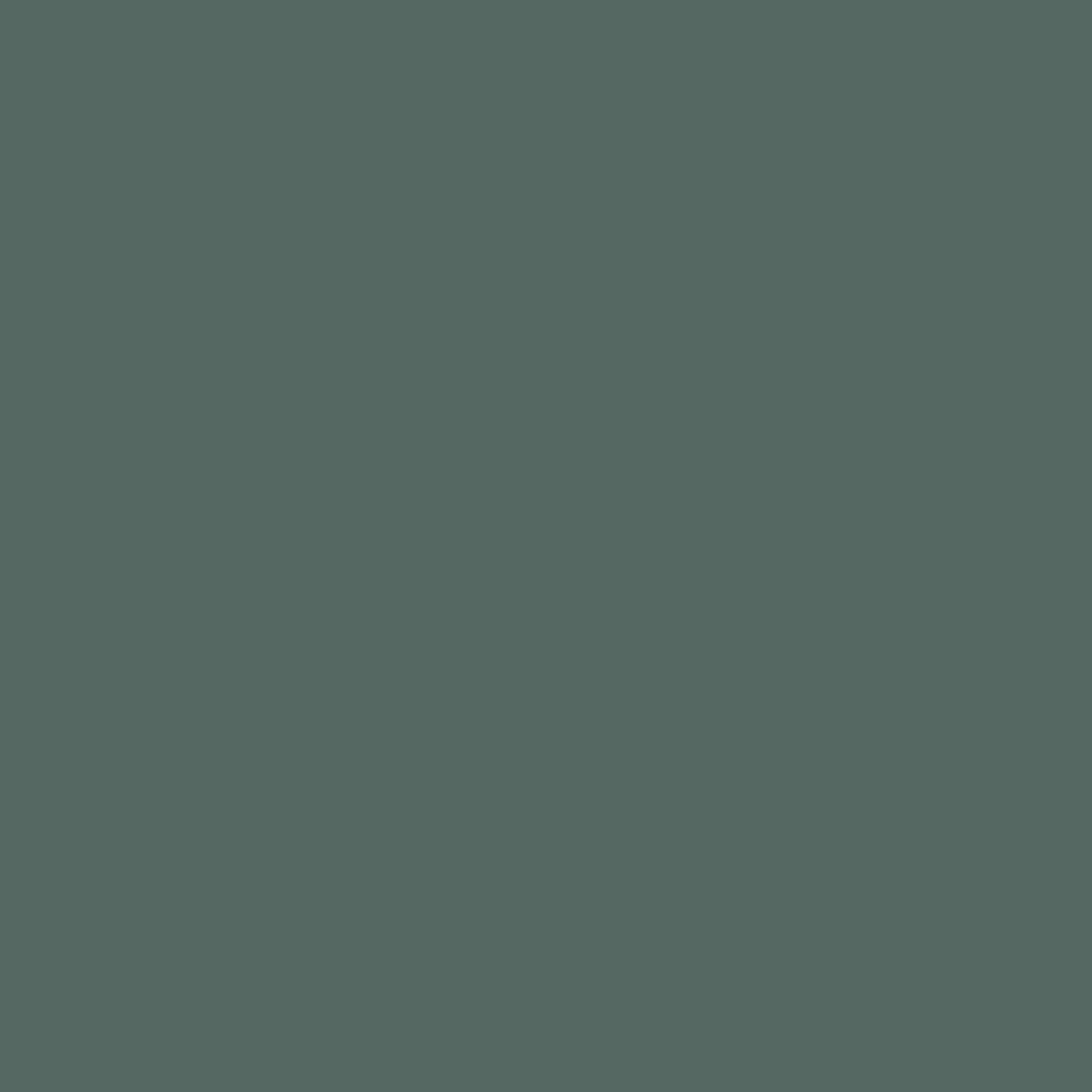 Dk agave-seaweed