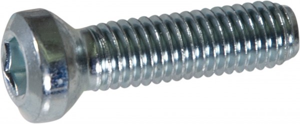 Eder Messerschraube M8x25 für Schälgerät